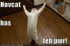 Hovcat Rulz